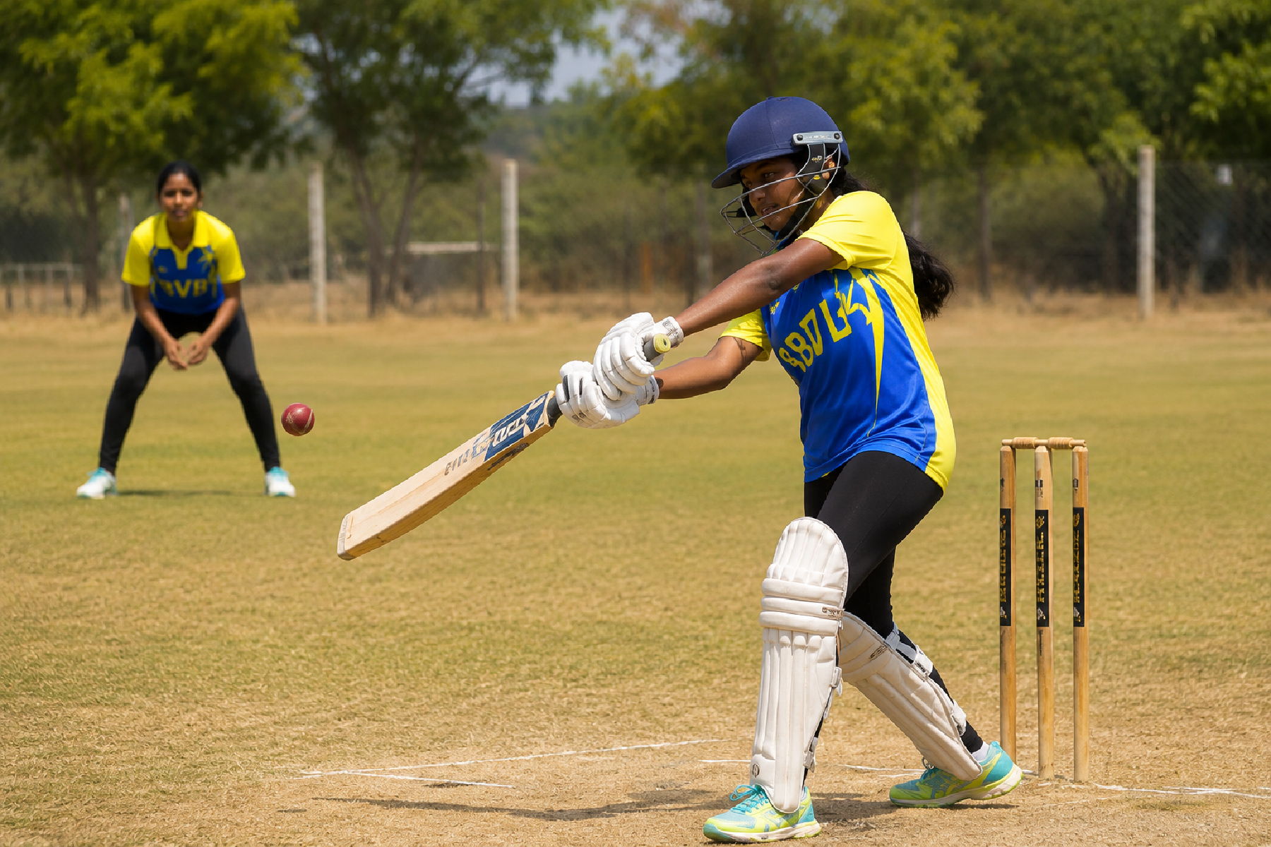 Cricket